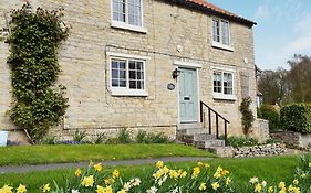Daisy Cottage